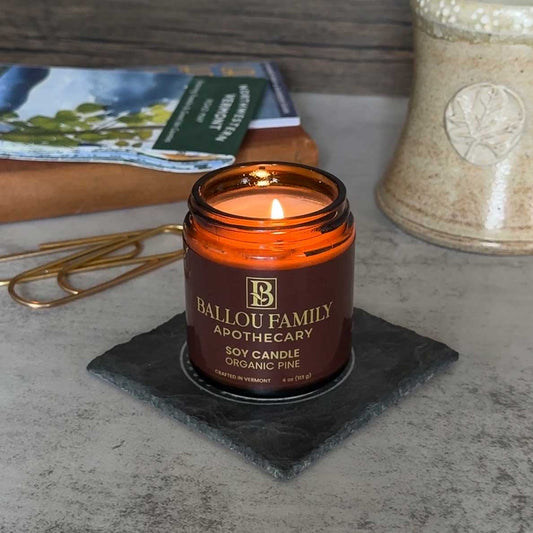 Why Pine Is Our Favorite Winter Scent (and How to Bring It Home)