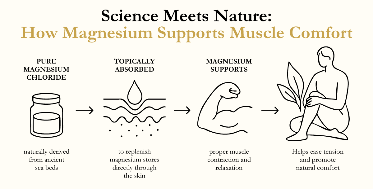 Science Meets Nature: Infographic on How Magnesium Supports Muscle Comfort